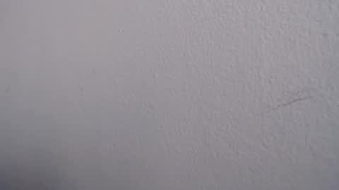 Snapshot of ariannaloovel chatting on 13, 6, 2026 ariannaloovel online show from 13, 6, 2026