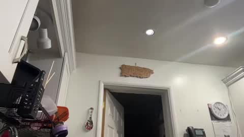 Aria online show from 8, 1, 2025