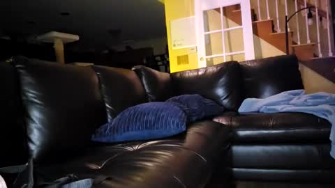 Artie Paints online show from 18, 1, 2025