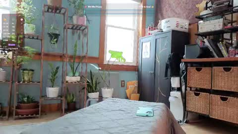 Artie Paints online show from 10, 2, 2025
