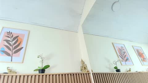 Catalina online show from 27, 1, 2025