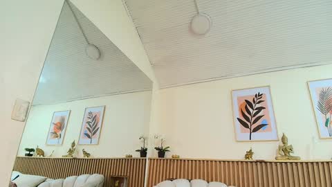 Catalina online show from 3, 2, 2025