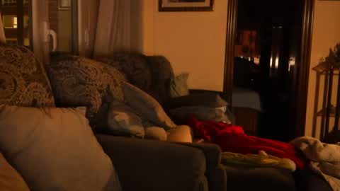 Troy online show from 15, 1, 2025