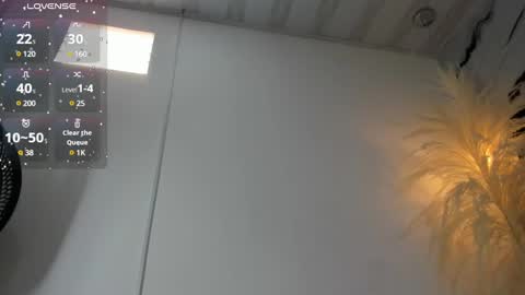 ashley_7777 online show from 11, 3, 2025