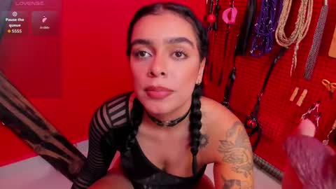 ASHLEY  My schedule 600 - 1400 GMT -5 online show from 15, 5, 2026