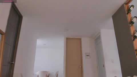 Snapshot of ashly_z chatting on 21, 4, 2026 Ashly online show from 21, 4, 2026