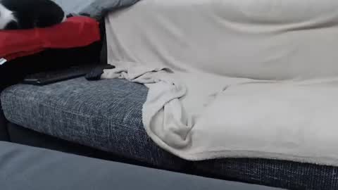 MARCO online show from 16, 1, 2025