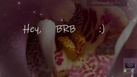 Atrena online show from 10, 1, 2026