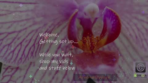 Snapshot of atrena chatting on 16, 4, 2026 Atrena online show from 16, 4, 2026