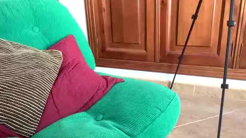 Snapshot of aurerex chatting on 7, 11, 2025 aurerex online show from 7, 11, 2025