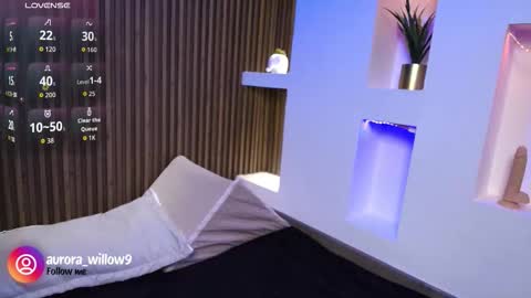 Snapshot of aurora_willow9 chatting on 3, 2, 2026 aurora_willow9 online show from 3, 2, 2026