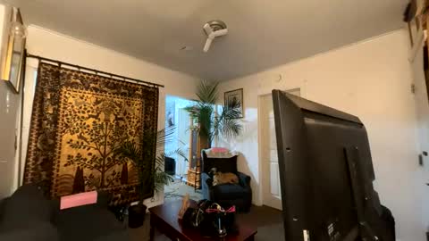 Destiny Nicole online show from 2, 4, 2026