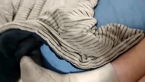 Lex online show from 14, 10, 2025