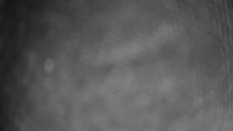 ausguy12excite online show from 12, 2, 2026