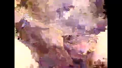 Snapshot of aushsi25 chatting on 16, 12, 2025 aushsi25 online show from 16, 12, 2025