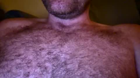 aussie_dadbod10 online show from 12, 2, 2026