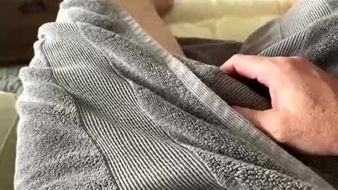 Snapshot of aussie_fatcock chatting on 5, 4, 2026 Aussie fatcock online show from 5, 4, 2026