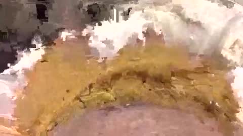 aussieguy1584 online show from 22, 3, 2026