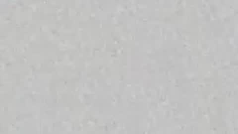 Badgirl trans69 online show from 4, 4, 2026