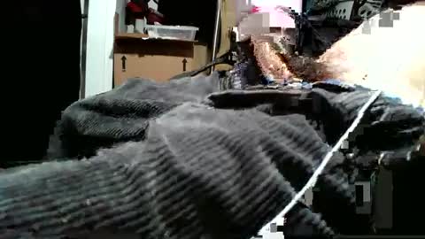 averagecharles757569 online show from 9, 10, 2025