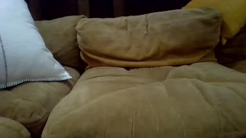 Snapshot of averagecock696969 chatting on 23, 2, 2025 averagecock696969 online show from 23, 2, 2025