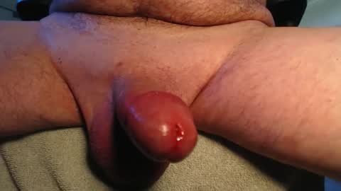 avi8r online show from 29, 10, 2025