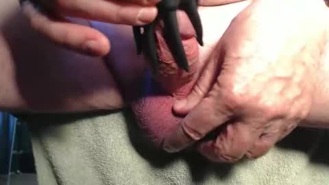 avi8r online show from 26, 2, 2026