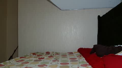 Avian online show from 2, 11, 2025