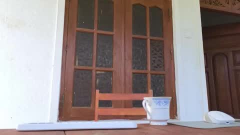 Goddess Avrora online show from 9, 1, 2026