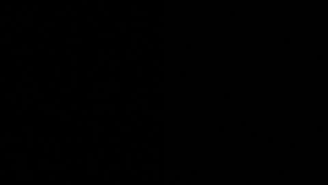 Axell Cross2 online show from 4, 11, 2025