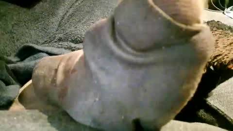 Snapshot of axelle_garcia chatting on 7, 11, 2025 Axelle online show from 7, 11, 2025