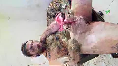 deliciosodemente online show from 4, 3, 2026