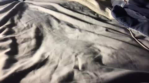 b0rk3r online show from 11, 12, 2024