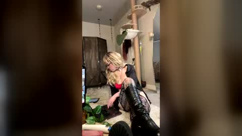 BabMaxx online show from 29, 6, 2026