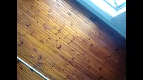 Snapshot of baby__p chatting on 26, 2, 2026 Baby P online show from 26, 2, 2026