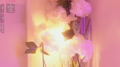 Baby june online show from 14, 6, 2026