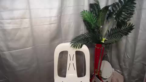 Nexie online show from 9, 10, 2025