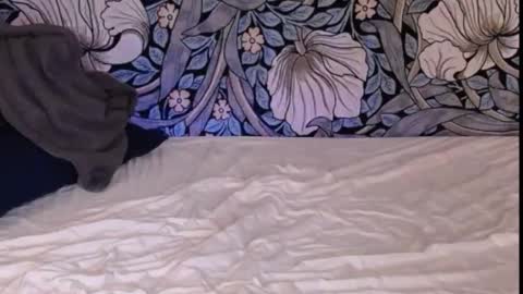 Ava online show from 30, 9, 2025