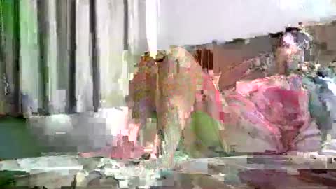 badassrider420 online show from 29, 11, 2025