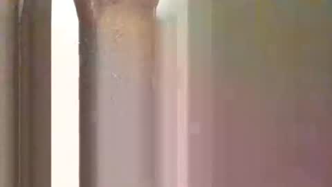 Bad Bb online show from 25, 1, 2025