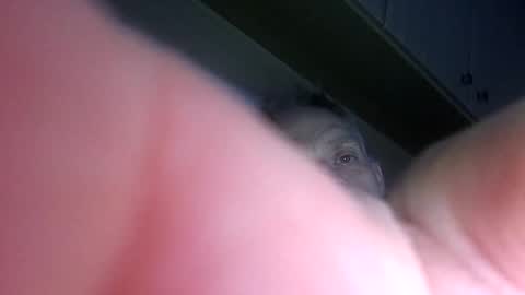 Snapshot of badger150 chatting on 22, 12, 2024 badger150 online show from 22, 12, 2024