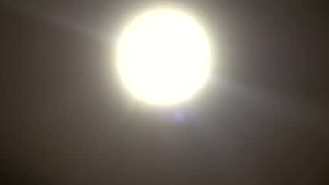 Snapshot of badger150 chatting on 27, 1, 2025 badger150 online show from 27, 1, 2025