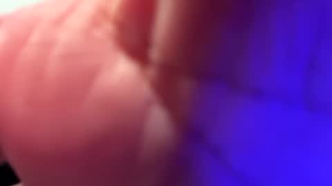 badkitty2525 online show from 12, 9, 2025