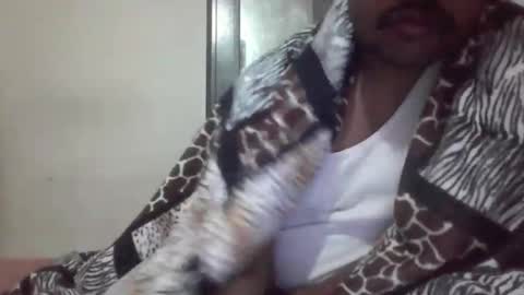 banda1212 online show from 14, 12, 2025