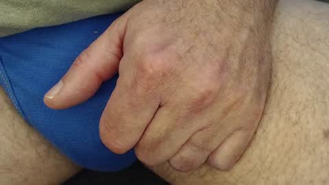 Penguin online show from 27, 1, 2025