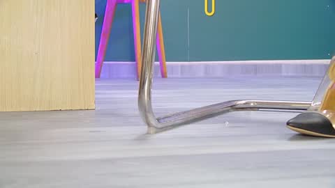 Barbara online show from 10, 1, 2025