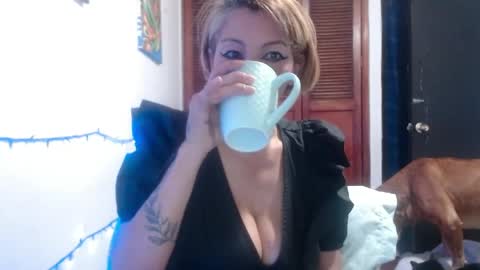 barbiemature online show from 28, 5, 2026