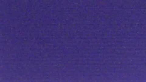 bartbartek online show from 9, 11, 2025