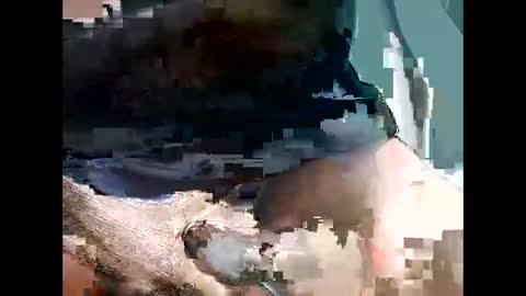 Snapshot of bbcbrazilianboy chatting on 28, 9, 2025 bbcbrazilianboy online show from 28, 9, 2025