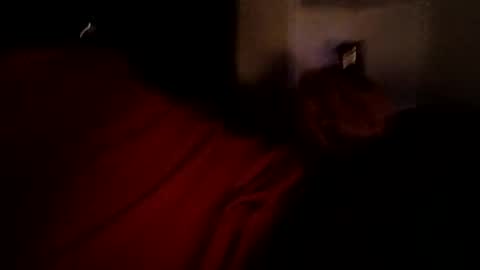 bbetoven online show from 27, 10, 2025